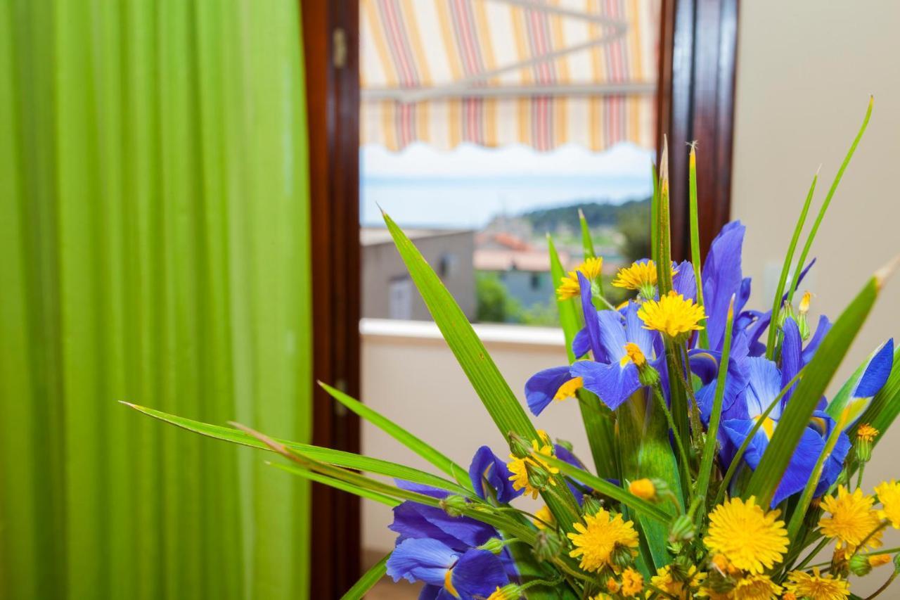 Apartment Centar *